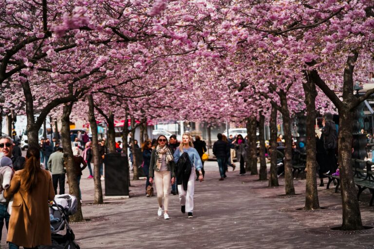 Essential Tips for Visiting Paris